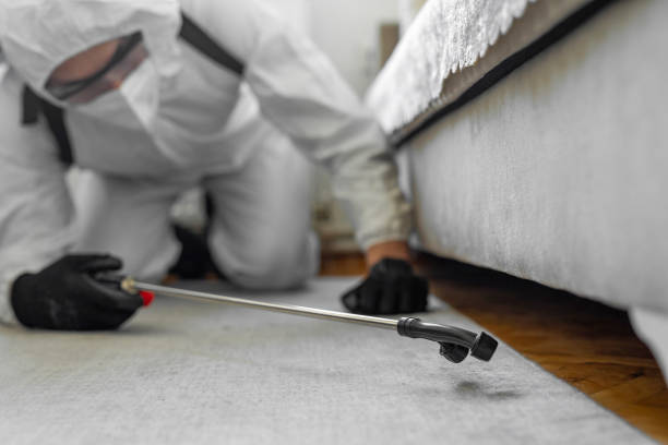 Professional Bed Bug Control technician working in Gloucester, MA