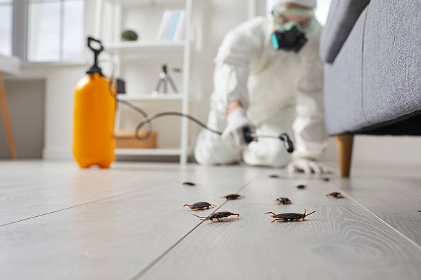 Trusted Fumigation Services service in Gloucester, MA - Nex Pest Control
