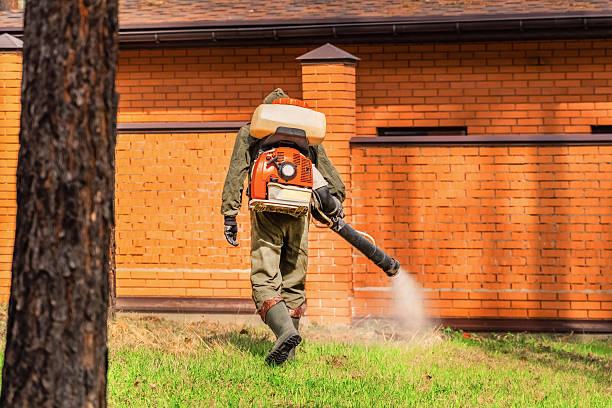 Trusted Rodent Control service in Gloucester, MA - Nex Pest Control